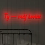 Ledowy napis na ścianę Ty — mój świat